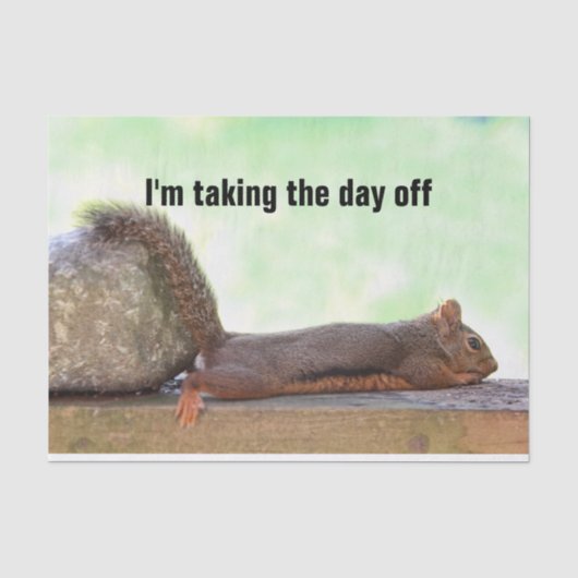 Lazy Squirrel Tissuepapier (Voorkant)