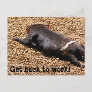 Lazy Tassie Devil Briefkaart