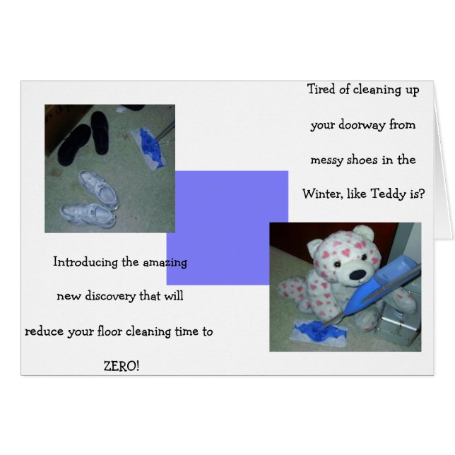Lazy Teddy Bear Cleaning (Voorkant Horizontaal)