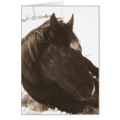 Lazy Winter Day (Devant)