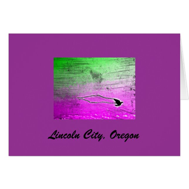 LC Kite (Devant horizontal)