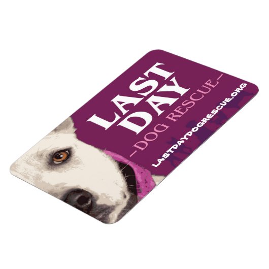 LDDR 4 "x 6" logo magneet (Linkerzijde)