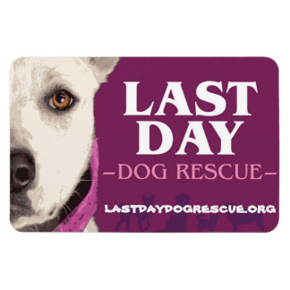 LDDR 4 "x 6" logo magneet