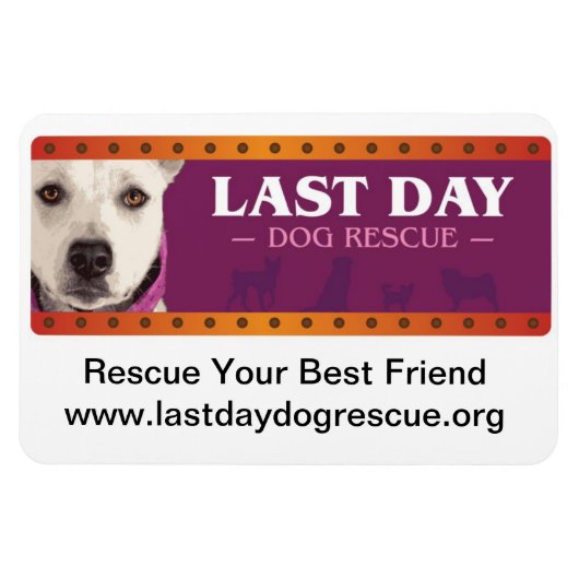 LDDR-automagneet Magneet (Horizontaal)