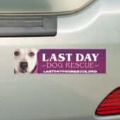 LDDR-bumpersticker Bumpersticker (Op auto)