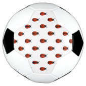 Le ballon de foot de Ladybugs (Tourné)