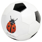 Le ballon de foot de Ladybugs (3/4)