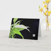 Le bambou part de la carte de voeux de voyage (Fleur jaune)