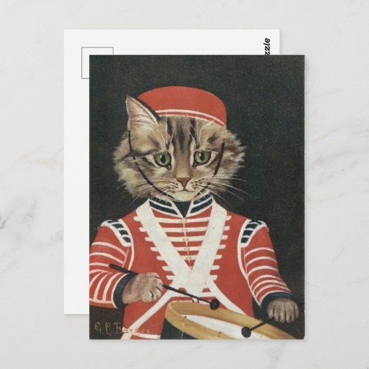 Le batteur chat briefkaart (Voorkant / Achterkant)