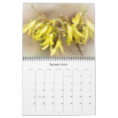 Le beau calendrier mondial de Dieu #6 (Jan 2026)