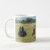 Le Belge Shepherds la tasse de café (Gauche)