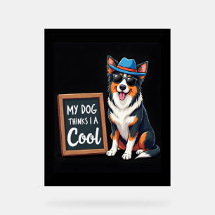 Le berger australien My Dog pense que je suis Cool