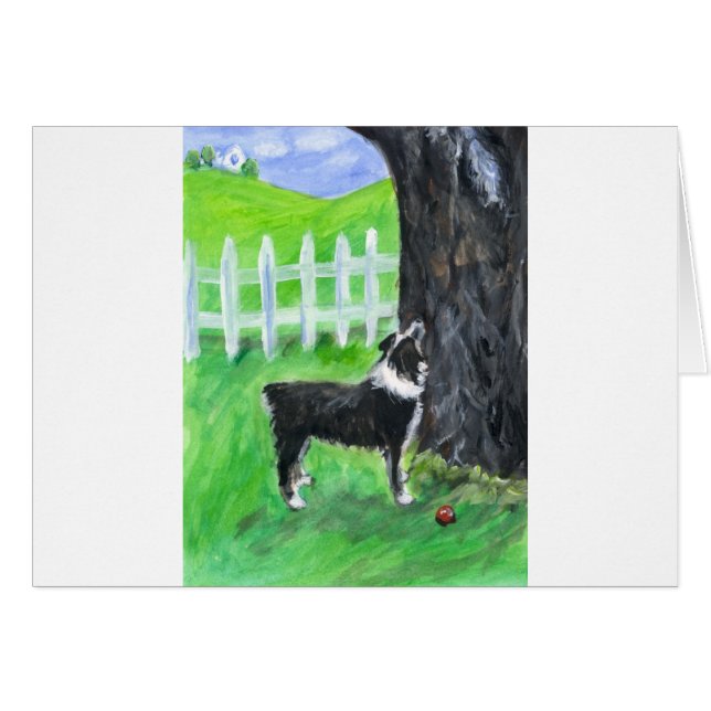 Le berger australien voit l'écureuil (Devant horizontal)