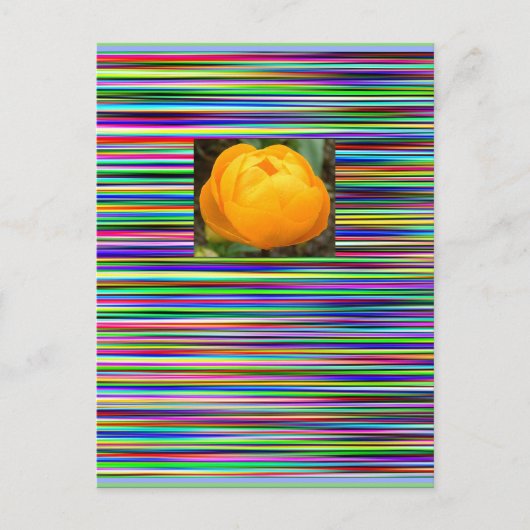 Le bijou barre la CARTE POSTALE de TULIPE (Devant)