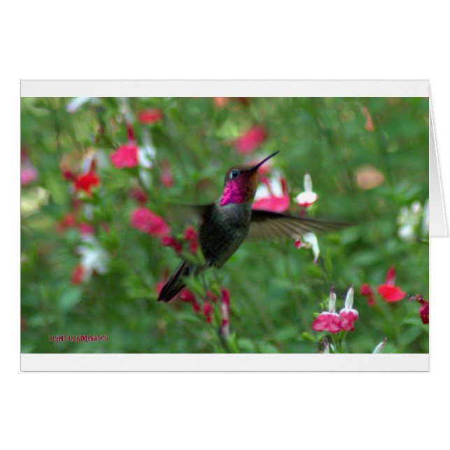 Le bijou d'Anna (Devant Horizontal)