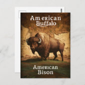 Le bison américain sur une carte (Devant / Derrière)