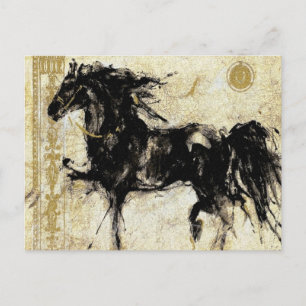 Le Black Stallion ~ Carte postale