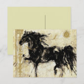 Le Black Stallion ~ Carte postale (Devant / Derrière)
