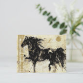Le Black Stallion ~ Carte postale (Debout devant)