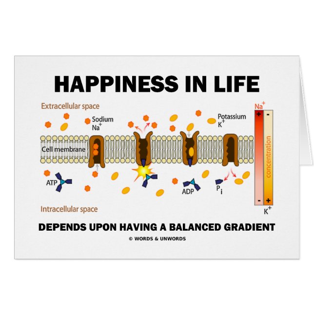 Le bonheur dans la vie dépend du gradient (Devant horizontal)