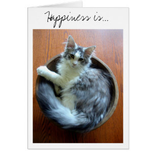 Le bonheur est un bol rempli de carte de chaton