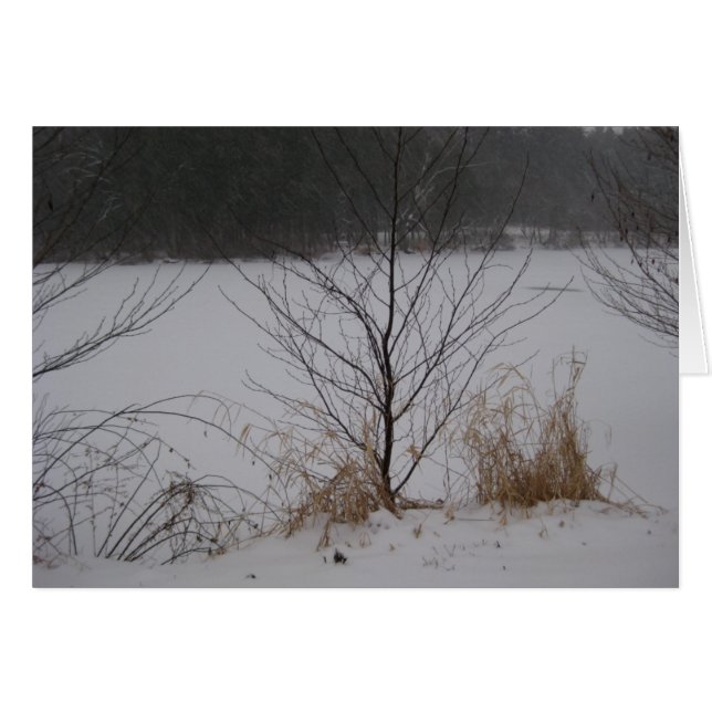Le bord du lac, hiver (Devant horizontal)
