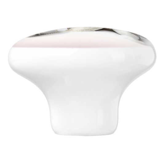 Le bouton en céramique de Baker (Côté)