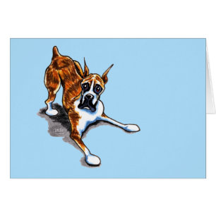 Le boxeur Brindle veulent jouer