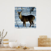 Le Buck Stops Here (Deer) Poster (Cuisine)