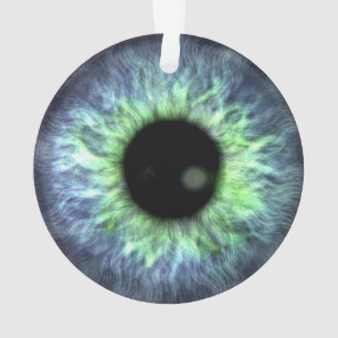 Le cadeau bleu vert Eyeball
