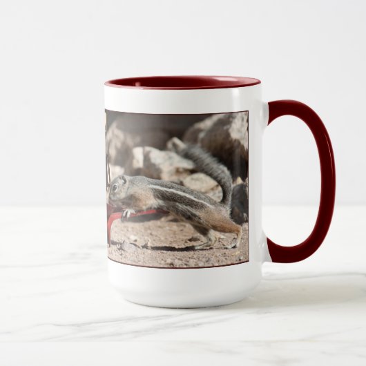 Le café accumule la tasse de sonnerie (Droite)