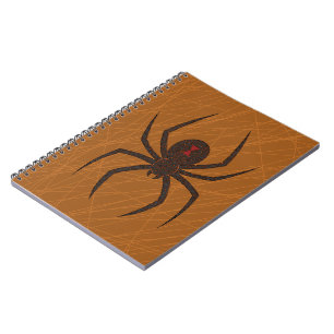 Le cahier de la toile d'araignée