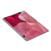 Le cahier de notes sur les roses classiques  (Côté Droit)