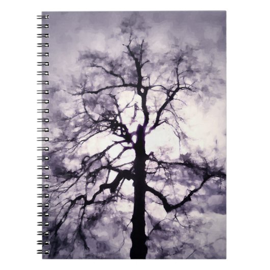 Le Cahier de Phantastes (Devant)