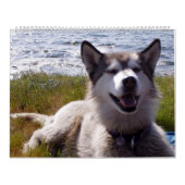 Le calendrier 2007 de Quinn (Protection)