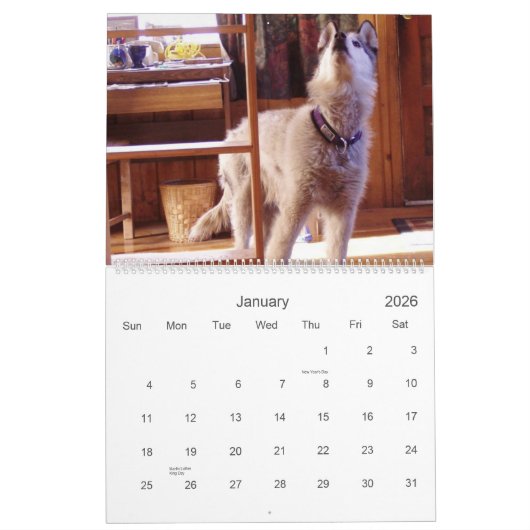 Le calendrier 2007 de Quinn (Jan 2026)