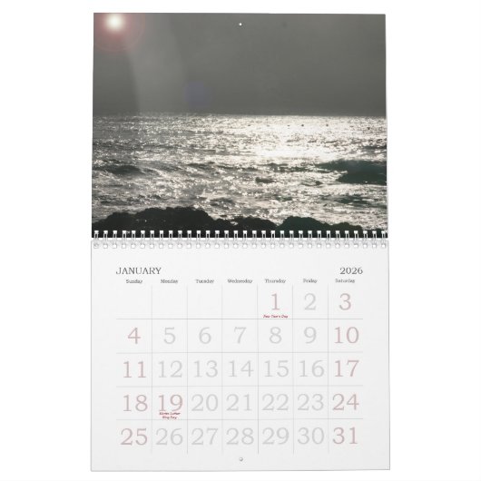 Le calendrier 2010 de la nature (Jan 2026)