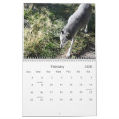 Le calendrier 2012 de loup (Feb 2026)