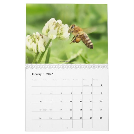 Le calendrier 2013 d'apiculteurs (Jan 2027)