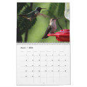 Le calendrier 2017 de colibri - changez l'année (Mar 2026)