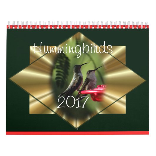 Le calendrier 2017 de colibri - changez l'année (Protection)