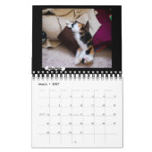 Le calendrier 2018 de Foster Kitten de Platoshyn (Mar 2027)