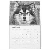 Le calendrier 2024 Dave's Garden Photo Contest (Jan 2026)