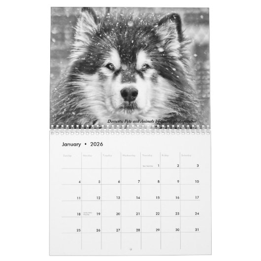 Le calendrier 2024 Dave's Garden Photo Contest (Jan 2026)