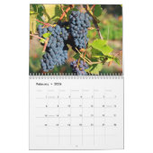 Le calendrier 2026 du vin - Veni, Vidi, Vino (Feb 2026)