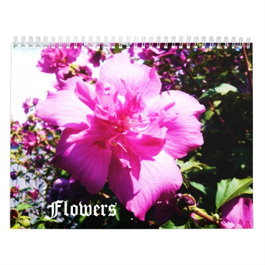 LE calendrier BEAUTÉ DES FLEURS (Protection)