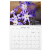 Le calendrier Bugs Get No Respect #2 (Jan 2027)