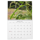 Le calendrier Bugs Get No Respect #2 (Mar 2027)