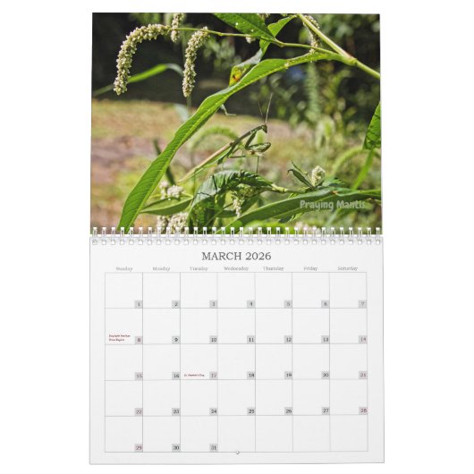 Le calendrier Bugs Get No Respect #2 (Mar 2026)