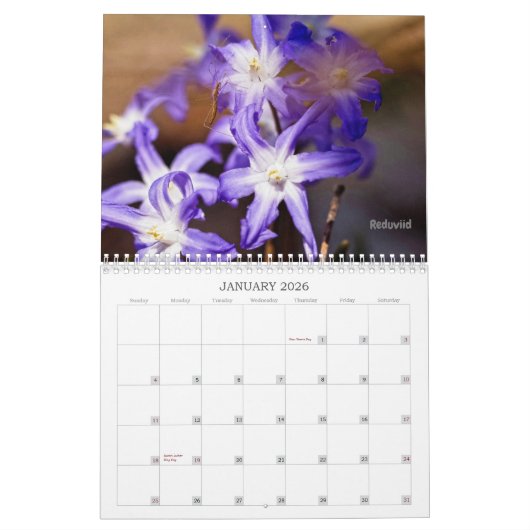 Le calendrier Bugs Get No Respect #2 (Jan 2026)